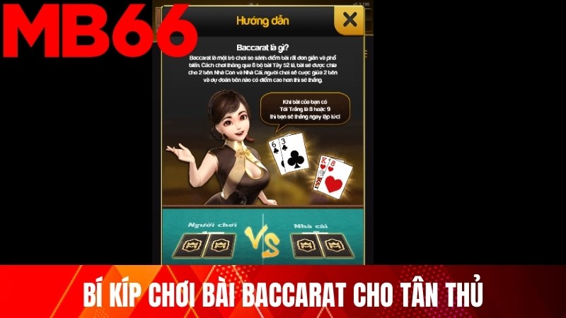 Bí kíp chơi bài Baccarat cho tân thủ