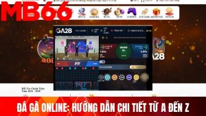 Đá Gà Online: Hướng Dẫn Chi Tiết từ A Đến Z Từ Cao Thủ