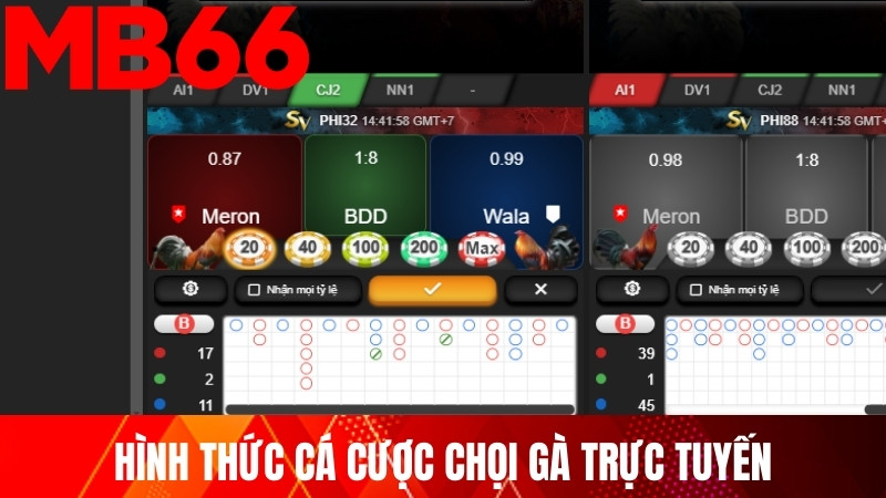 Hình thức cá cược chọi gà trực tuyến