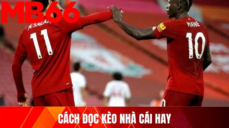 Cách đọc kèo nhà cái hay