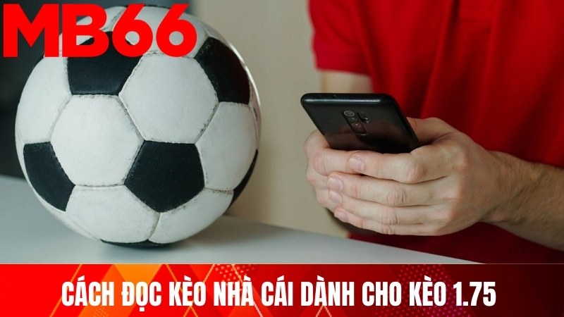 Cách đọc kèo nhà cái dành cho kèo 1.75 