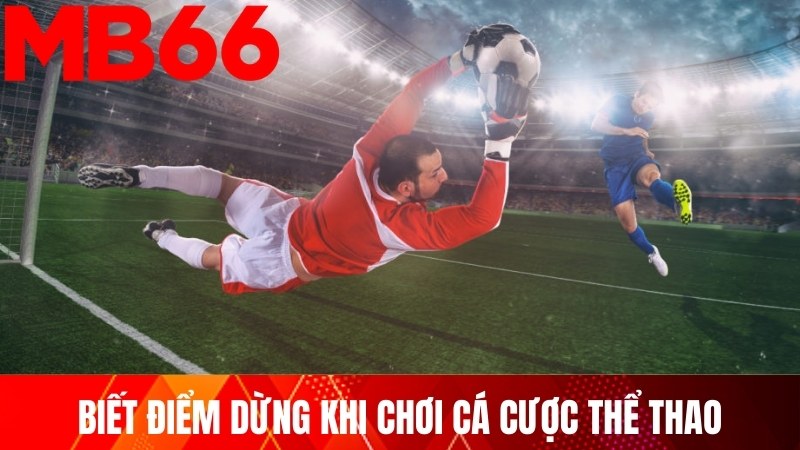 Biết điểm dừng khi chơi cá cược thể thao