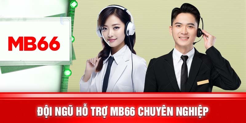 Đội ngũ hỗ trợ MB66 cực kỳ chuyên nghiệp