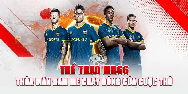 Thể Thao MB66 là sân chơi hàng đầu Châu Á