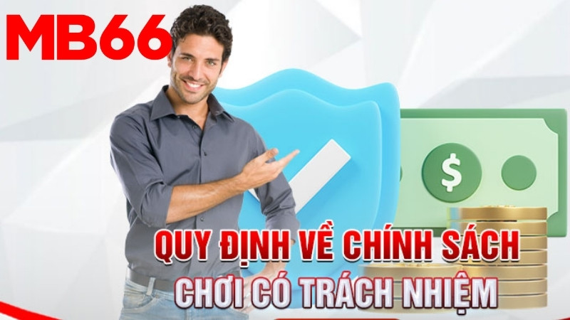 Nhà cái có trách nhiệm cá cược như thế nào?