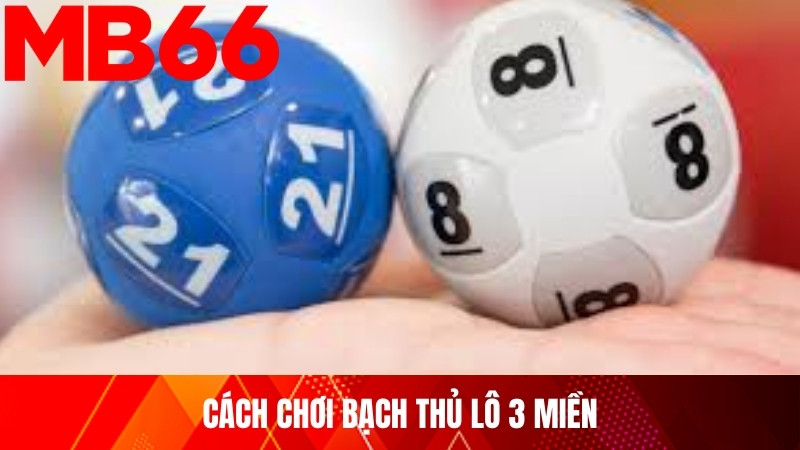 Cách chơi bạch thủ lô 3 miền