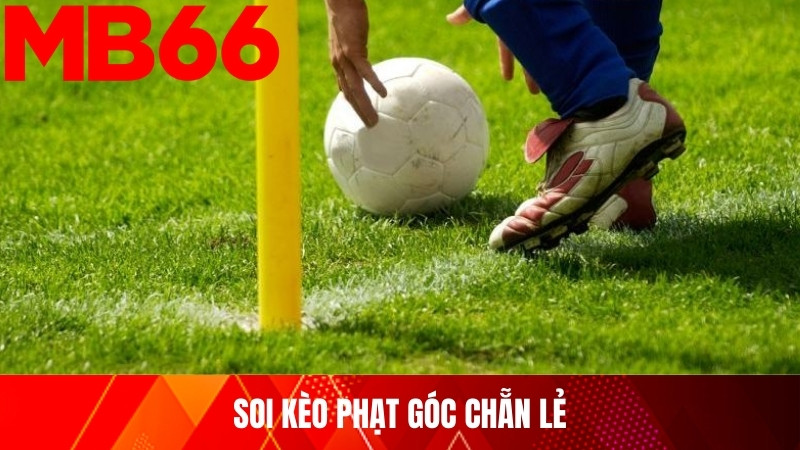 Soi kèo phạt góc chẵn lẻ