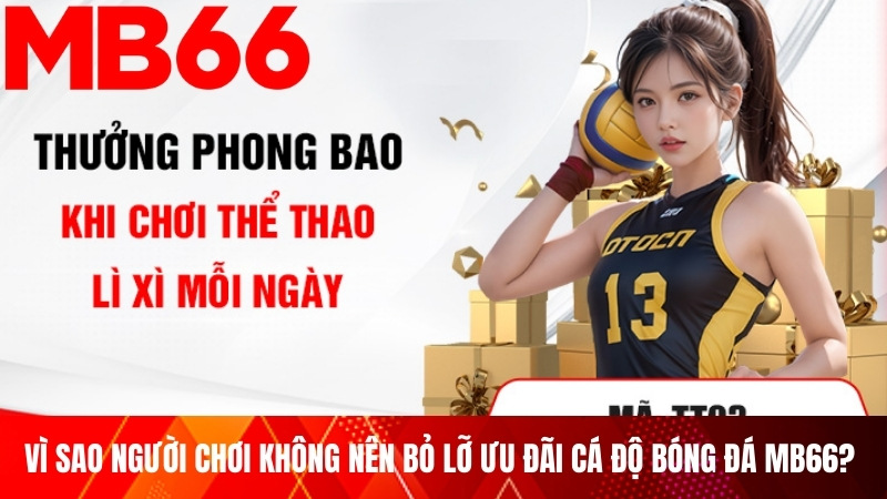 Vì sao người chơi không nên bỏ lỡ ưu đãi cá độ bóng đá MB66? 