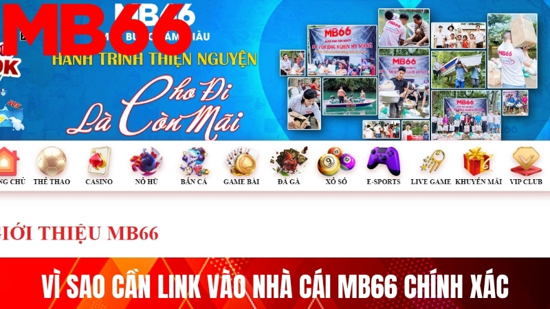 Vì sao link vào nhà cái MB66 chính xác lại quan trọng